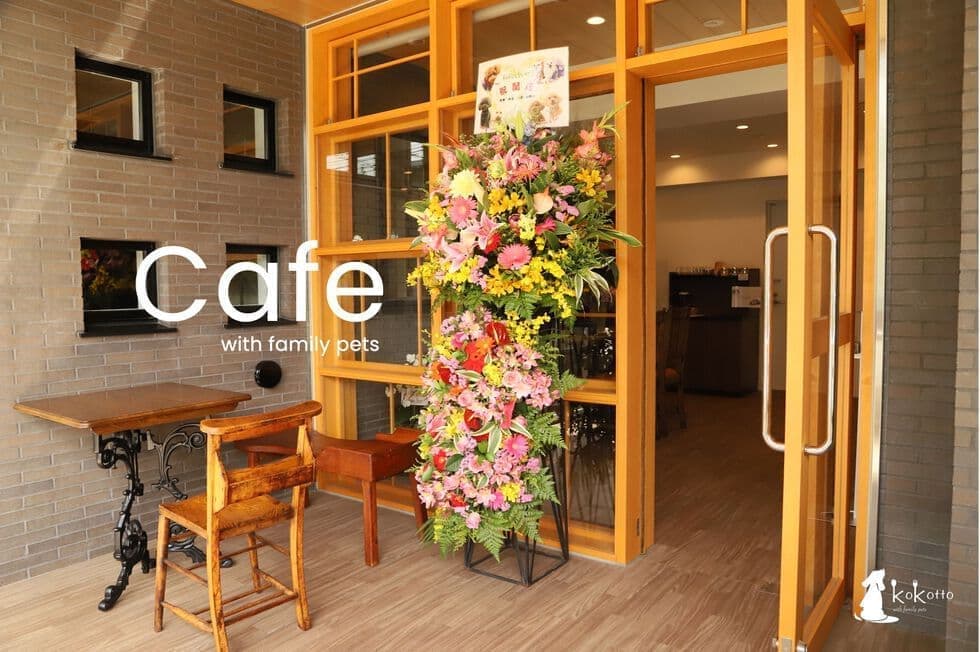 Cafe_appearance